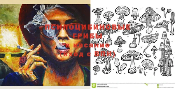 ГАЛЛЮЦИНОГЕННЫЕ ГРИБЫ Дмитров