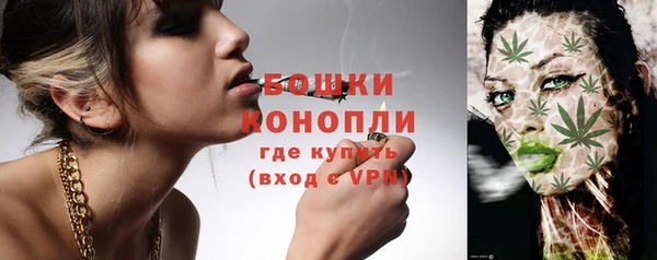 крисы Дмитровск