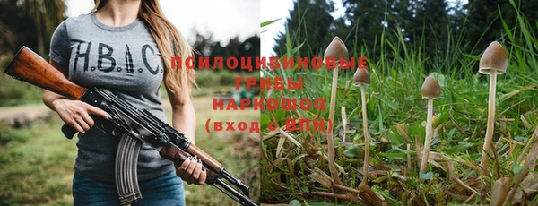 ГАЛЛЮЦИНОГЕННЫЕ ГРИБЫ Дмитров