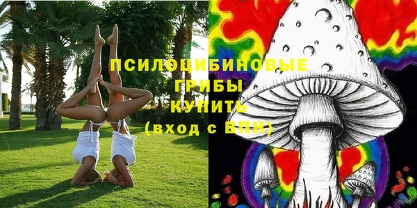 крисы Дмитровск