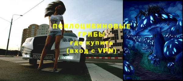 крисы Дмитровск