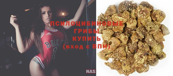 крисы Дмитровск